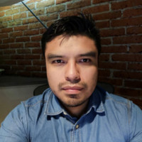 Ricardo Mendoza Islas