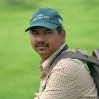 Kaustubh Pandharipande