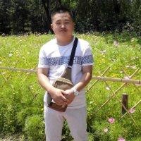 赵金龙