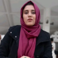 Hamna Zahid