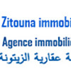 Zitouna Immobilier