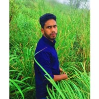 Anil B