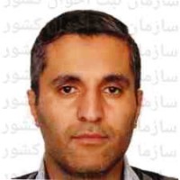 Ali Alizadeh