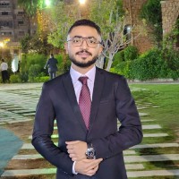 Hesham Waleed