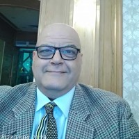 Mahmoud O. Fawzi