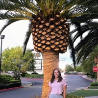 Abby Fleetwood