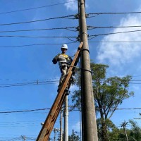 Vinicius Dias Soares