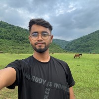 Mehedi Hassan Robin
