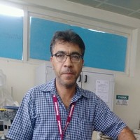 Jameel Harb