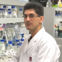 Farhad Masoomi-Aladizgeh