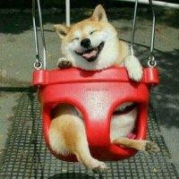 蒋忠建