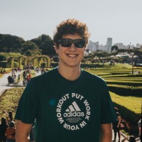 Henrique Afonso