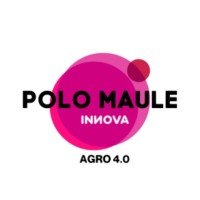 Polo Maule Innova