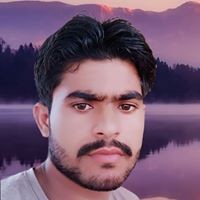 Shokeen Saifi