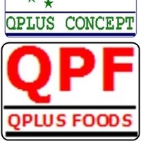 Q PLUS GROUP