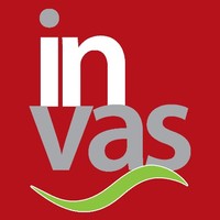 Invas Consultores
