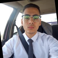 Mahmoud Hesham