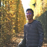 Anton De Joya