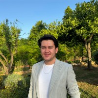 Ali Mert Di̇nçer