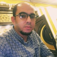 ibrahim fawzi elafify