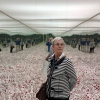 Johanna Wessels-Beugel