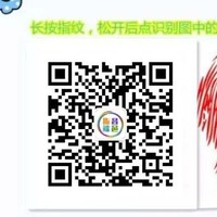王东强