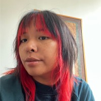 Thuy-Tien Truong Thi Diem