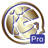 Market Global Network