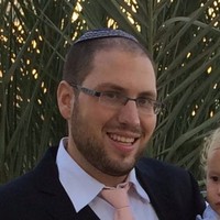 dovid holtz