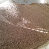 Nuria Barbero Hernandez