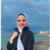Shorok Hossam