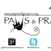 Paws and Prayers