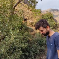 sajjad dordeh