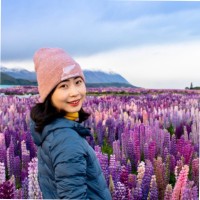 Danting Zhao
