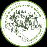 Daniela Mugelli Tesi