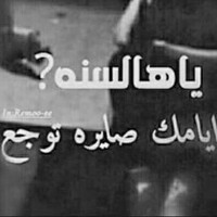 murad zayed