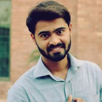 Malik Waleed Awan
