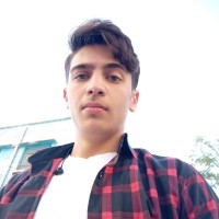 Seyedamir Hsi