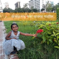 Md Shafiqul Shekh