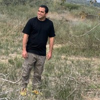 Asaf Hovav
