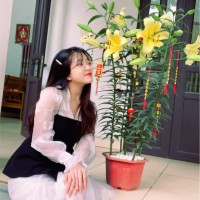 Yen Phan