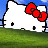Serena Shi