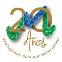 Multiproyectos Industrial S. A.