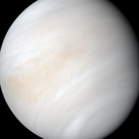 Venus Sim