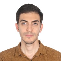 S. Hamed F. Alavi