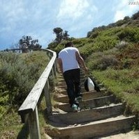 林折涛