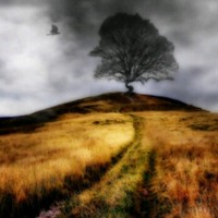 اكرم الجشعم