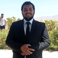 Mostafa Hatem