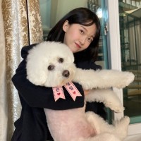 정혜수