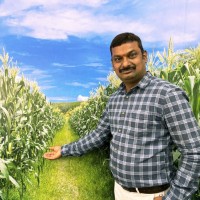 Anand Kumar Gajam